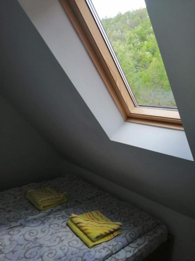 Vila Zubor Crni Vrh Экстерьер фото
